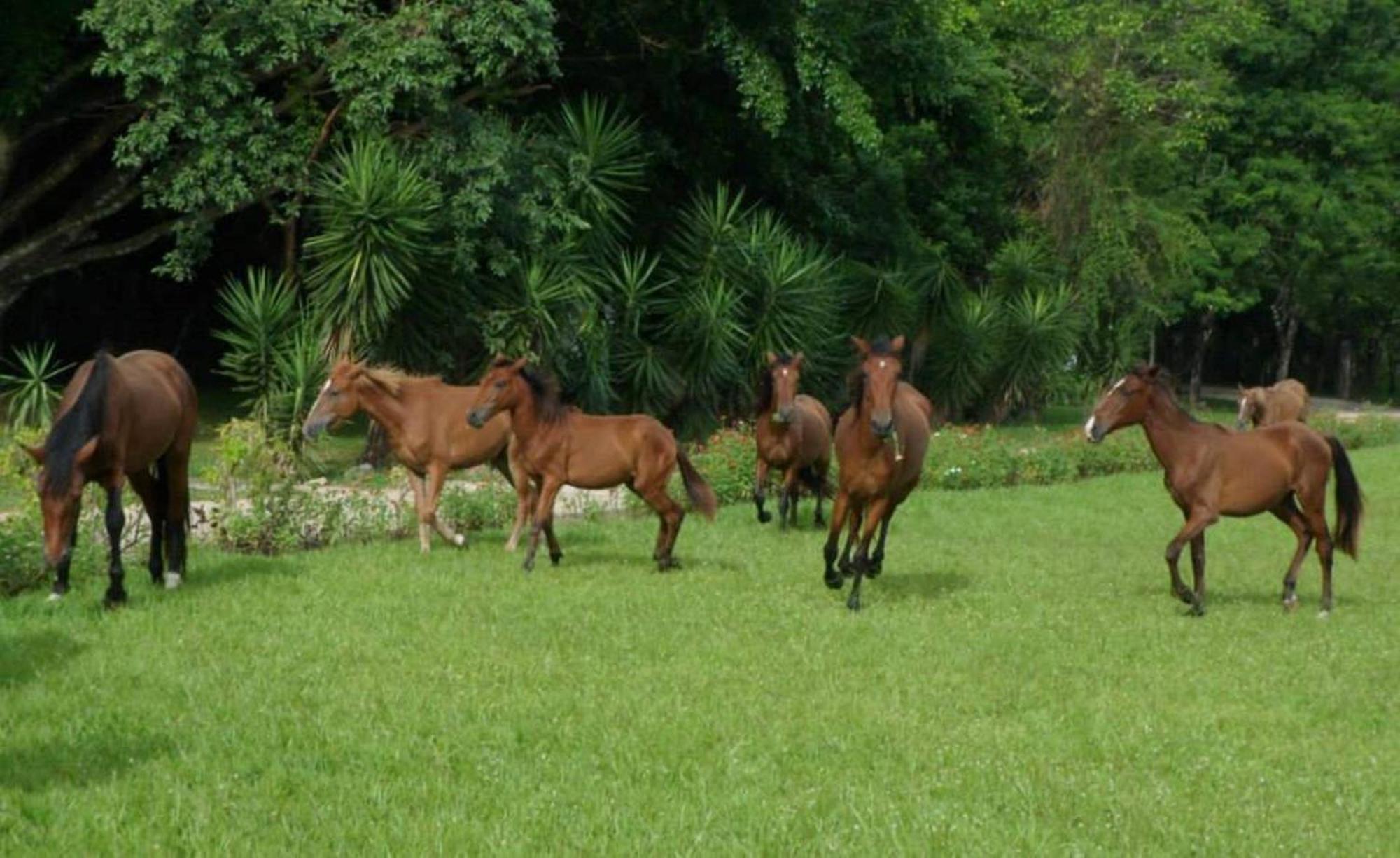 Finca Ixobel Bagian luar foto