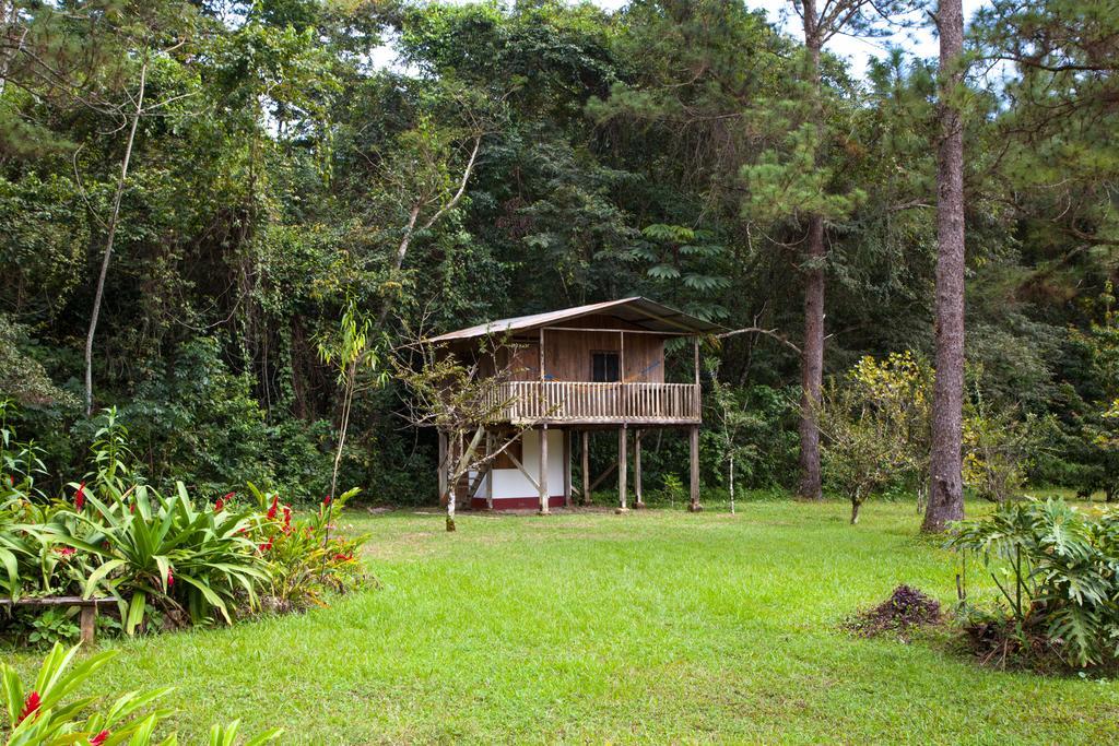 Finca Ixobel Ruang foto