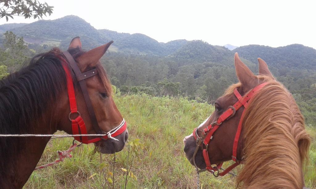 Finca Ixobel Bagian luar foto